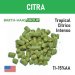 LUPULO CITRA X 100 GRS. 