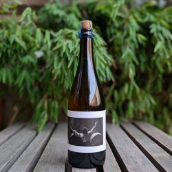 Popihn Sauvages CACHE CACHE (2023)