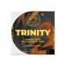 TRINITY Impérial Stout 9.8° _ 33clVP 