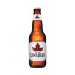 Molson Canadian 5% - 18 x 33 cl EW Flasche 