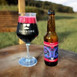 Gamborg Bryghus Octo X Tripple Dark Berry Vanilla Marshmallow Lassi Gose - ØL2GO