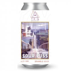 Trig Brewery Sour Puss Bramble