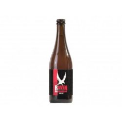 Pivovar Raven Raspberry