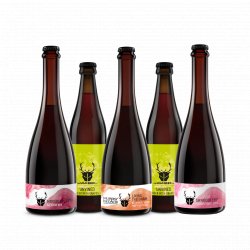 The Wild Beer The Barrel Aged Mixed Bundle - The Wild Beer Co