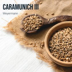 Malta CaraMunich III Weyermann Kg  Centro Cervecero - Centro Cervecero