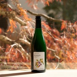 Boerenerf  Mirabelle - Oogst 2023