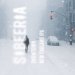 Sibeeria Snowtown 16°6,8% 0,5l 