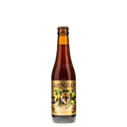 Lupulus Brune 33cl - Belgas Online