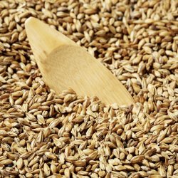 Light, Gold Swaen Malt 1Kg - BrewCraft