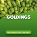 Hop cones Goldings 100 g 