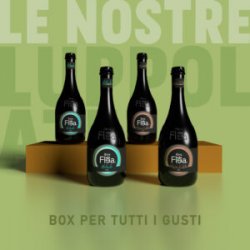 Box “Le nostre luppolate” - Birra Flea