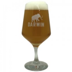 Copa Brunello Darwin 30cl - Mefisto Beer Point