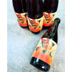 HOLY GOAT BREWING. SPECTRAL LORE FRAMBOISE STYLE SOUR WITH SCOTTISH TAYBERRIES 5.9% 375ml - The Beer Shelf