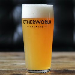 Otherworld Brewing 568ml20oz Billy Pint Glass - Otherworld Brewing