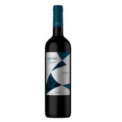 Andeluna Elevacion Red Blend 750ml - Sabremos Tomar