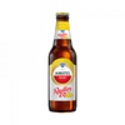 Amstel Radler 2.0 Citroen Amstel Radler 2.0 Citroen