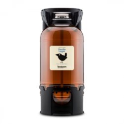 TeeDawn Gentle Lager