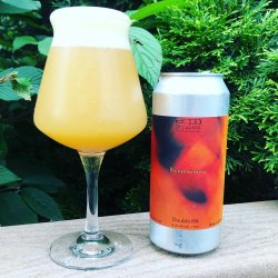 Spyglass Brewing Company Decoherence