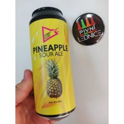 Funky Fluid Pineapple 10,5°4% 0,5l - Pivní lednice