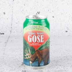 Anderson Valley Briney Melon Gose - Mr West