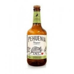 PEHUENIA CARDAMOMO Y PEPINO BOTELLA 500CC - Licorería Paradiso