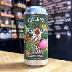 CALEYA – BUBBLEGUM – SMOOTHIE SOUR ALE - La Mundial