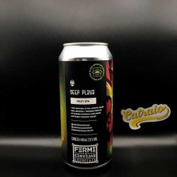 Cervejaria Fermi Deep Playa