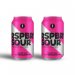 Brussels Beer Project RSPBRY SOUR Can 33cl x 2 