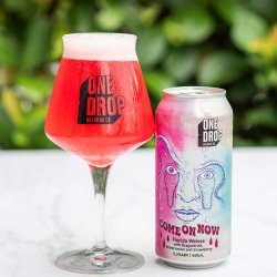 One Drop Brewing - Come on Now Florida Weisse - The Beer Barrel