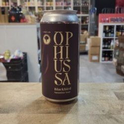 Ophiussa Blackbird