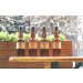 Sunshine Box (12 x 330ml) 