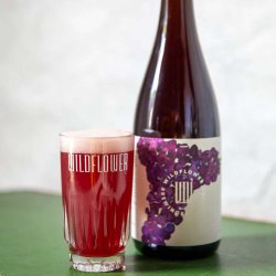 Wildflower - St Walter 2024: Gamay - The Beer Barrel