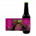 Segral Cerveza Artesanal de Pitahaya Dragon Dream (Caja 12 Uds) 