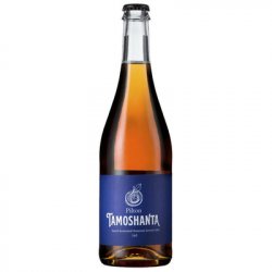 Pilton Tamoshanta Cider - ND John Wine Merchants