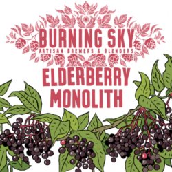 Burning Sky Elderberry Monolith 75cl Nrb - Kay Gee’s Off Licence