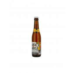 De Dolle Arabier Bott 33cl. - Partenocraft