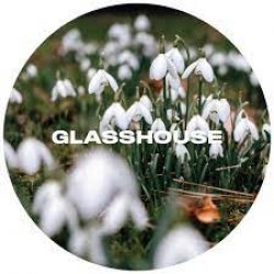 Glasshouse Nivalis - The Independent