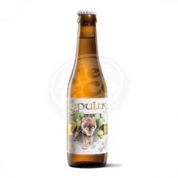 Lupulus Blonde - Ales & Co.