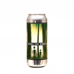 Makemake  Other Beings That Wonder Sour IPA - Craft Metropolis