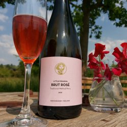 Brut Rosé 2021, 8% - Little Pomona