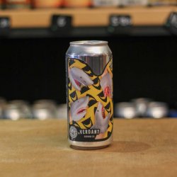 Sureshot Brewing Even Tim the Human Shark Needs Water