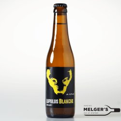 Lupulus  Blanche Witbier 33cl - Melgers