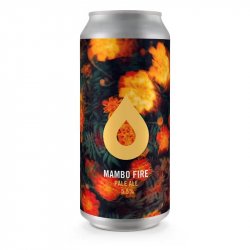 Mambo Fire 5.5% - Beer Ritz