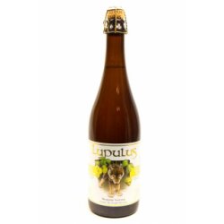 Lupulus Blonde Tripel - 75 cl - Acedrinks