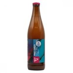 Funky Fluid: Free Crazy - butelka 500 ml - Piwne Mosty - Stu Mostow