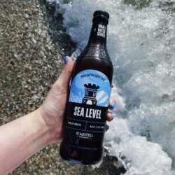 St Austell Brewery  Sea Level [2.8% Table Beer] - Red Elephant