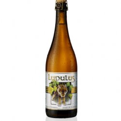 Lupulus Blonde 75 cl - RB-and-Beer