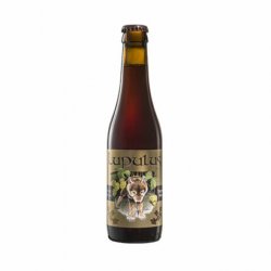 Lupulus Brune BIO 33 cl - RB-and-Beer