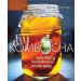 DIY Kombucha : Sparkling Homebrews Made Easy by Andrea Potter 