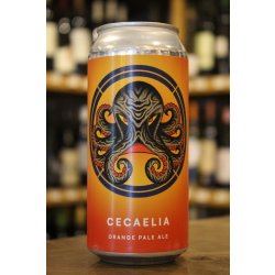 OTHERWORLD CECAELIA ORANGE PALE ALE - Cork & Cask